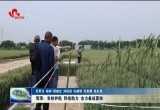 菏泽：农技护航 科技助力 全力备战夏收