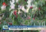 菏泽各地发展农业特色产品种植  引领假日新“丰”尚