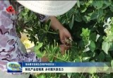 东明县、郓城县：特色产业结硕果 乡村振兴添活力