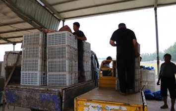 郓城：以党建引领促乡村共富