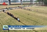 定陶：小麦新品种同田“打擂” 优质种源加速推广