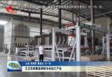 王卫东到曹县调研木材加工产业