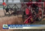 菏泽市迎来小麦丰收季   全力保障夏粮颗粒归仓