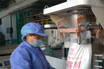  【发现身边的隐形冠军】东明五得利：以高筋小麦研发破局 跃升省级制造业单项冠军 