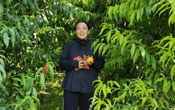 魏丛丛：蟠桃树下筑梦