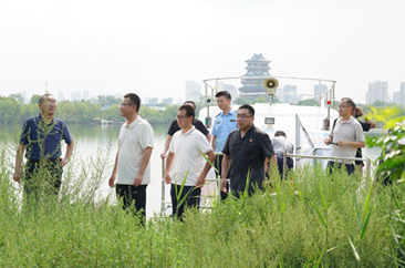  菏泽市林业局专家应邀赴成武县开展生态鸟岛保护专项调研指导 