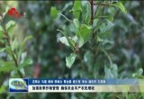 菏泽市各地加强秋季作物管理 确保农业丰产农民增收