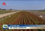 菏泽：技术护航 力保秋收稳产保收