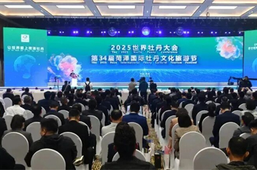 绽放2025，解锁菏泽文旅的突破与跨越