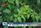 菏泽：联动筑牢寒潮防线 守护“菜篮子”稳产稳供