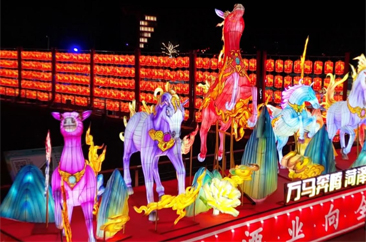  曹州牡丹园：万盏华灯迎客来 市民乐享文化盛宴 