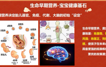孕妈妈的年味“食”光：吃得对，比吃得多更重要