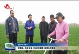 【全国人大代表回基层】王银香：给农业插上科技的翅膀 实现共同富裕