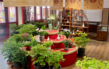 菏泽牡丹开了！“百花迎春”待芳菲！