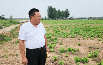 初心如磐守乡土 重任在肩惠乡亲——记巨野县独山镇蒋寺张庄村支书杨纪明