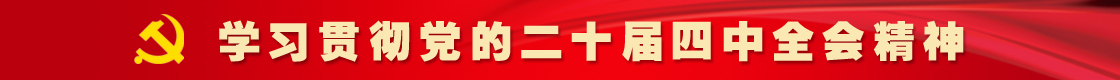 学习贯彻党的二十届四中全会精神