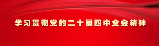 学习贯彻党的二十届四中全会精神