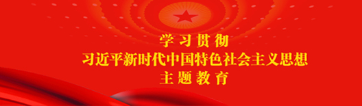 学习贯彻习近平新时代中国特色社会主义思想 主题教育